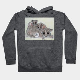 Ring-tailed possum and babies Hoodie